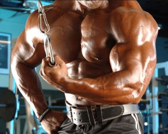 курс стероидов на качественную массу туринабол + болденон — иллюстрация 2